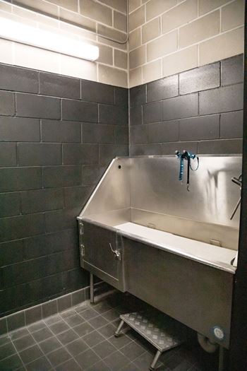 Cpw pet wash